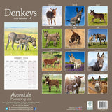 Donkeys Calendar 2024 by Avonside