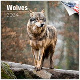 Wolves Wall Calendar 2024