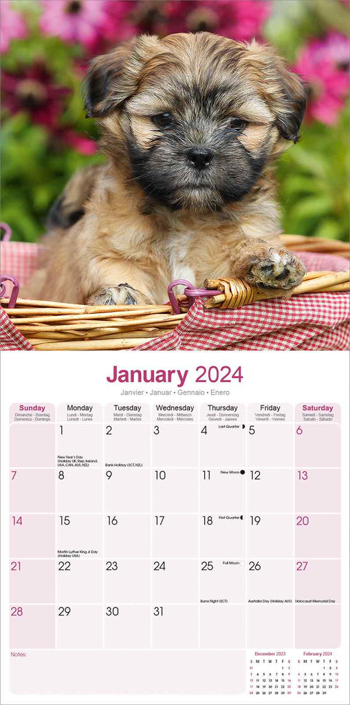 Lhasa Apso Calendar 2024 by Avonside