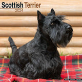 Scottish Terrier Calendar 2024 by Avonside
