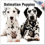 Dalmatian Puppies Wall Calendar 2024