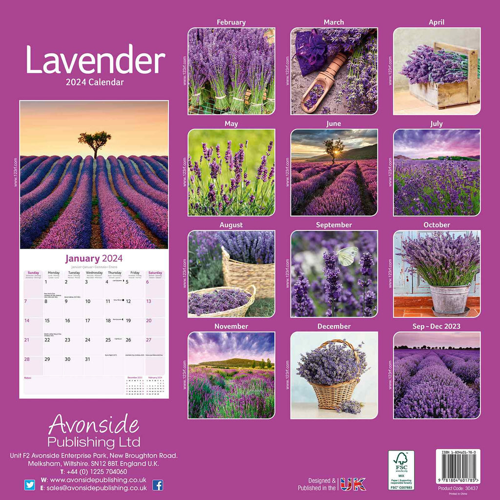 Lavender Calendar 2024 by Avonside