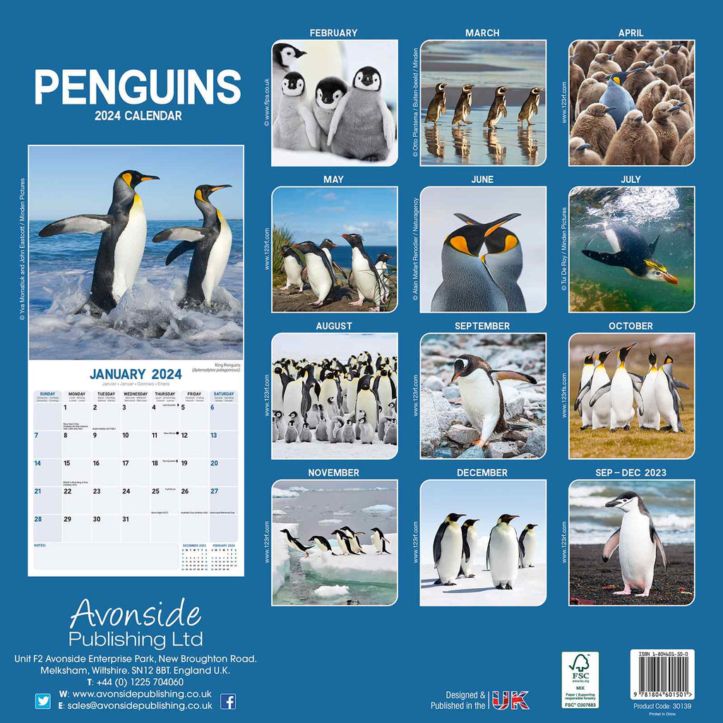 Penguins Wall Calendar 2024 by Avonside