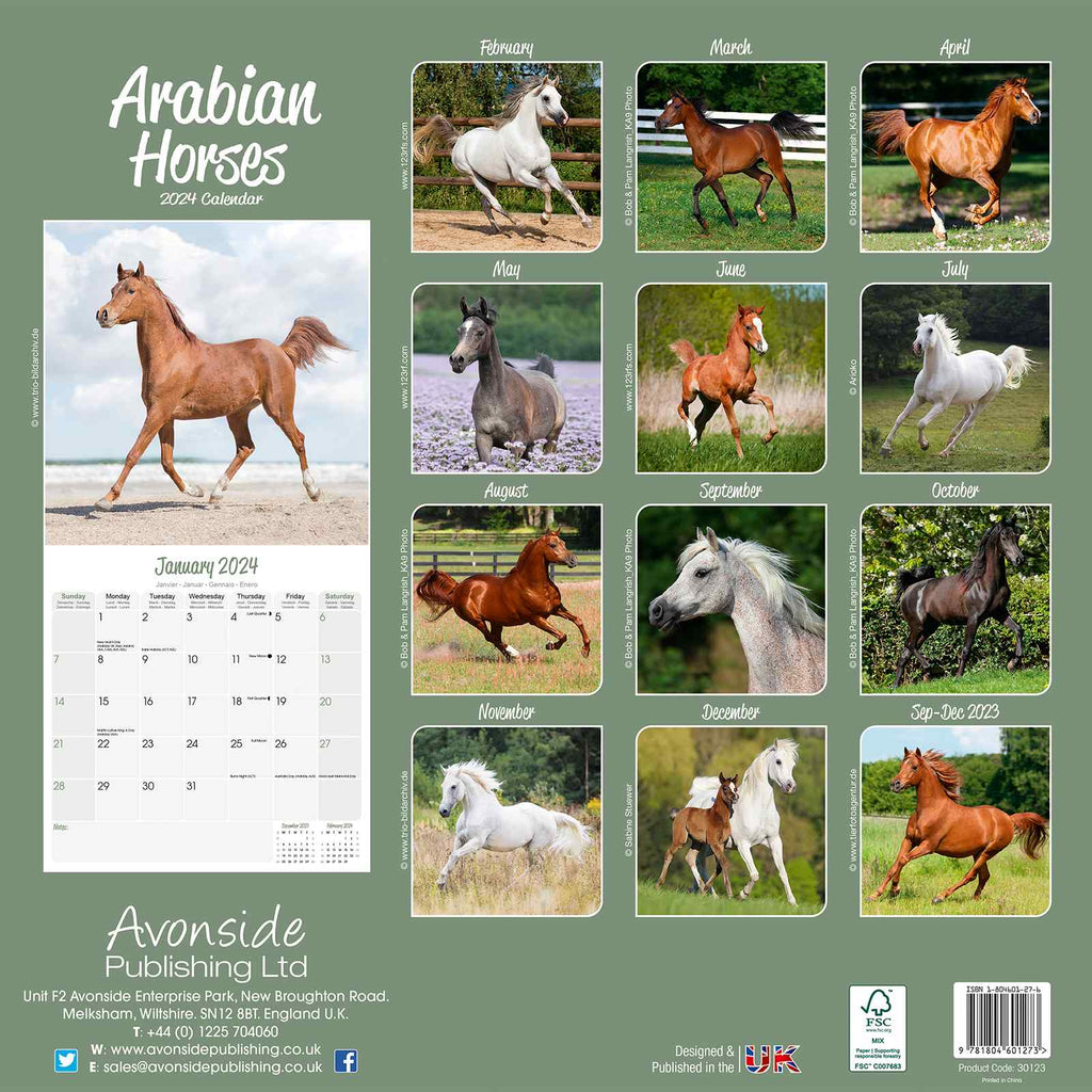Arabian Horses Calendar 2024 by Avonside