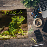 Lizards Wall Calendar 2024