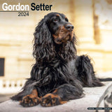 Gordon Setter Calendar 2024 by Avonside