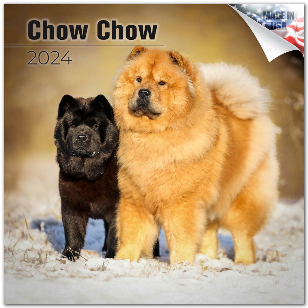 Chow Chow Wall Calendar 2024