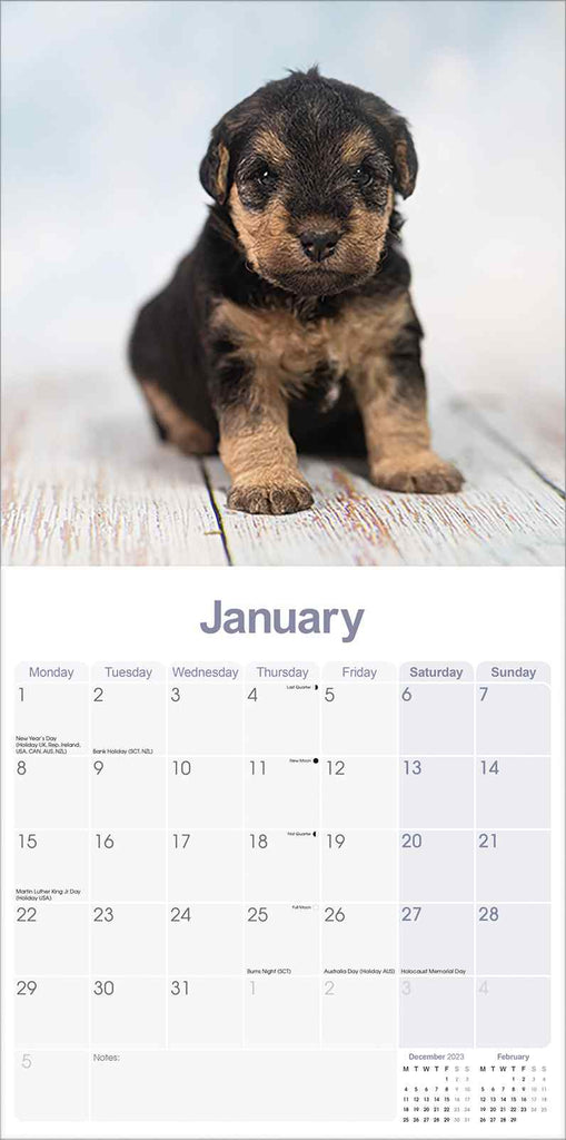 Lakeland Terrier Calendar by Avonside