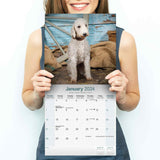 Bedlington Terrier Wall Calendar 2024