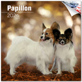 Papillon Wall Calendar 2024