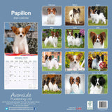 Papillon Calendar 2024 by Avonside