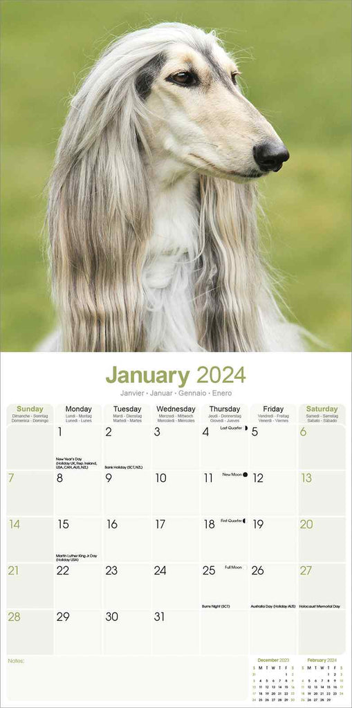 Afghan Calendar 2024 by Avonside