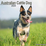Australian Cattle Dog Calendar 2024 by Avonside