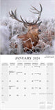 Seasons Wall Calendar 2024
