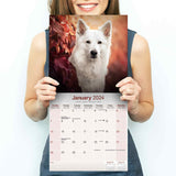 White Shepherd Wall Calendar 2024