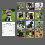 Schnauzer (Euro) Wall Calendar 2024