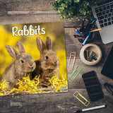 Rabbits Wall Calendar 2024