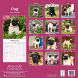 Pug Wall Calendar 2024 by Avonside