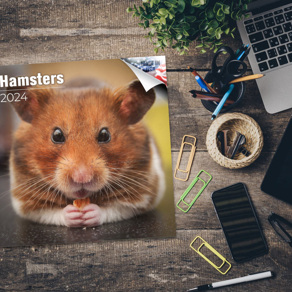 Hamsters Calendar 2024