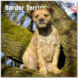 Border Terrier Wall Calendar 2024