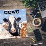 Cows Wall Calendar 2024