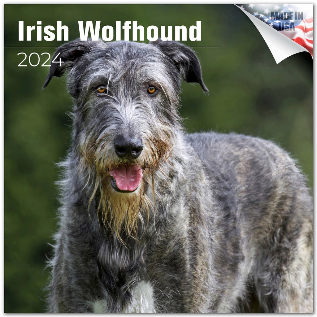 Irish Wolfhound Wall Calendar 2024