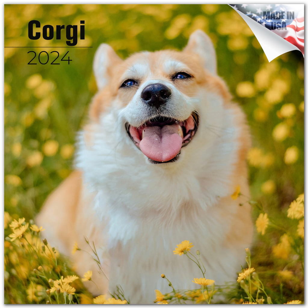 Corgi Wall Calendar 2024
