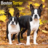 Boston Terrier Calendar 2024 by Avonside