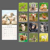 Baby Animals Wall Calendar 2024