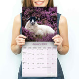 Sheep Wall Calendar 2024