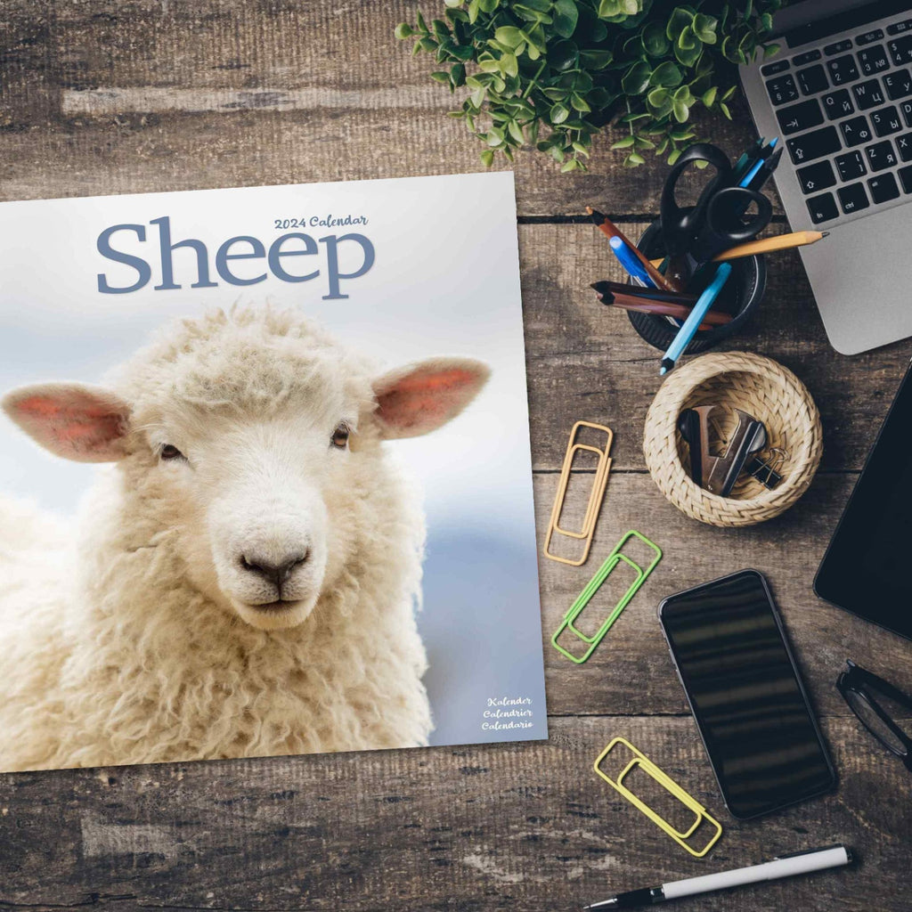 Sheep Wall Calendar 2024