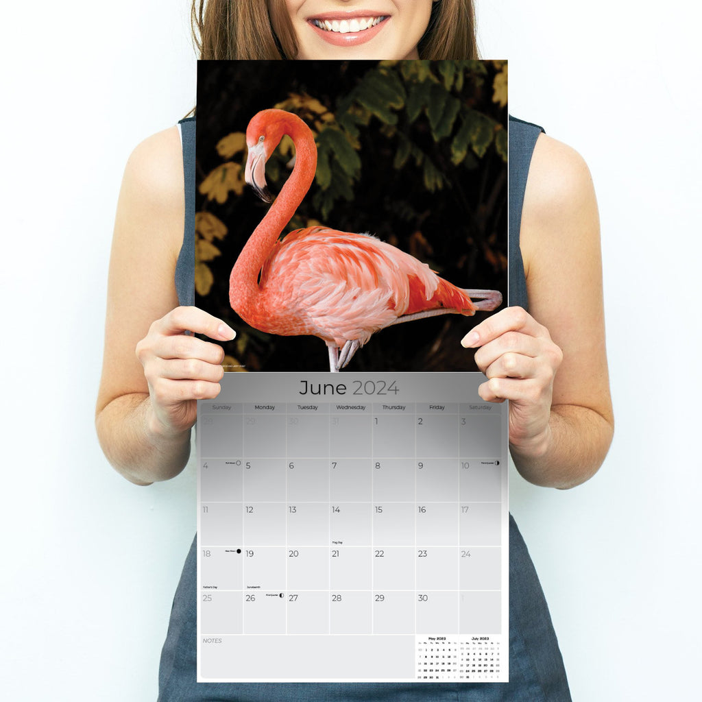 Flamingo Wall Calendar 2024