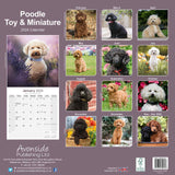 Poodle - Toy Calendar 2024 by Avonside