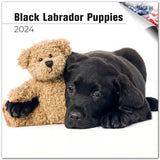 Black Labrador Puppies Wall Calendar 2024