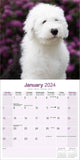 Old English Sheepdog Calendar 2024 by Avonside