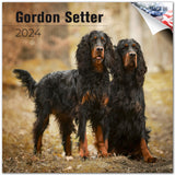 Gordon Setter Wall Calendar 2024