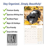 Tibetan Terrier Wall Calendar 2024