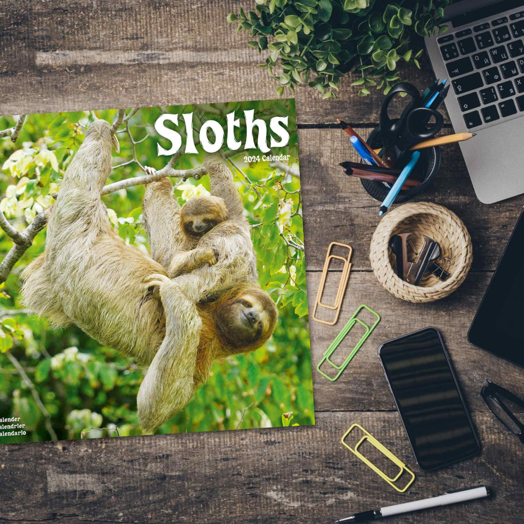 Sloths Wall Calendar 2024
