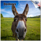 Donkeys Wall Calendar 2024